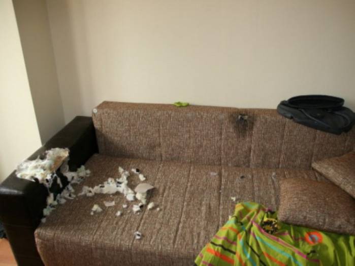 04 - Retapițare parțială canapea